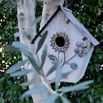 B&B Fontanelle Romane